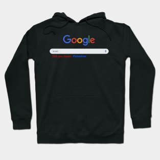 Did you mean Palestine? Hoodie